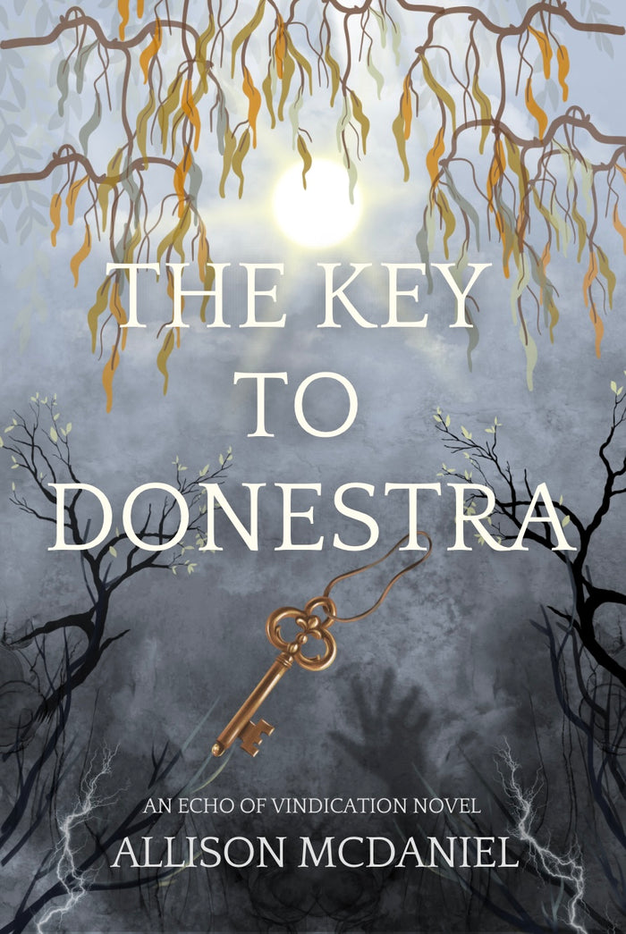 The Key to Donestra (Echo of Vindication, #1)